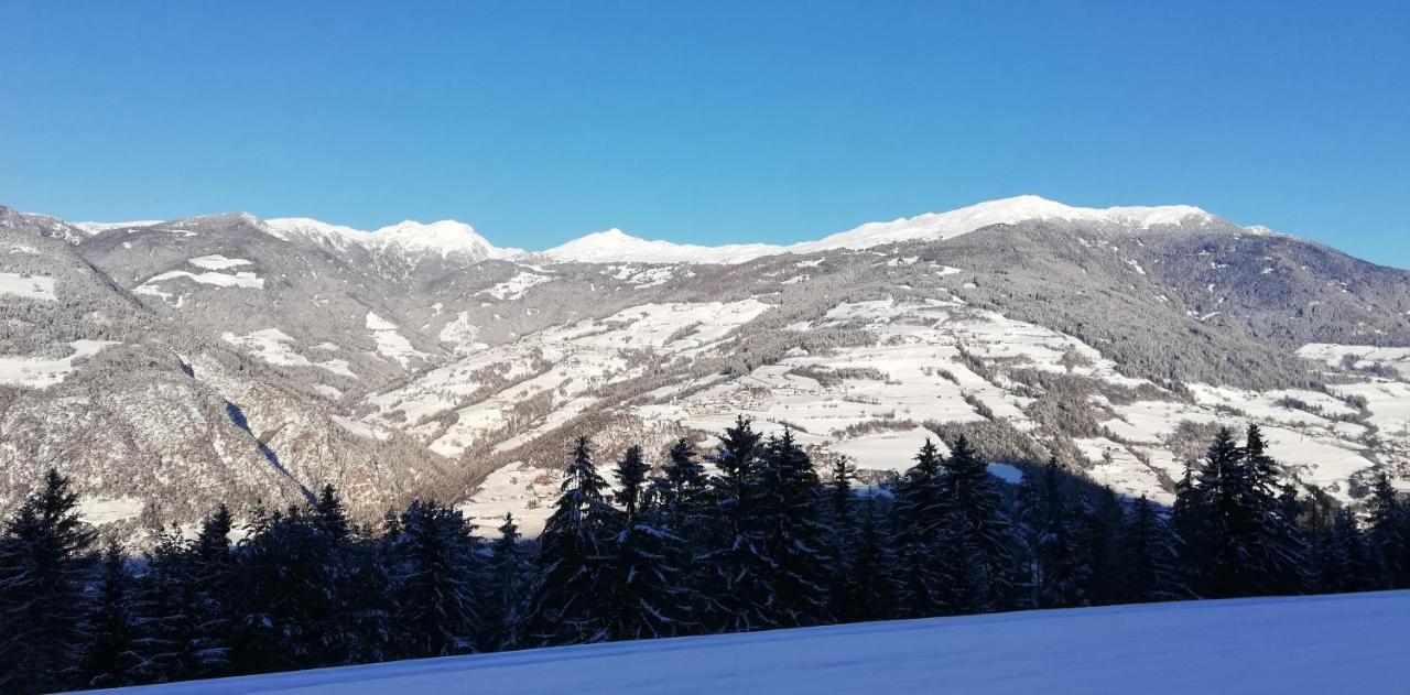 Agriturismo Ferienhof Gschloier (Adults Only) Laion Dış mekan fotoğraf