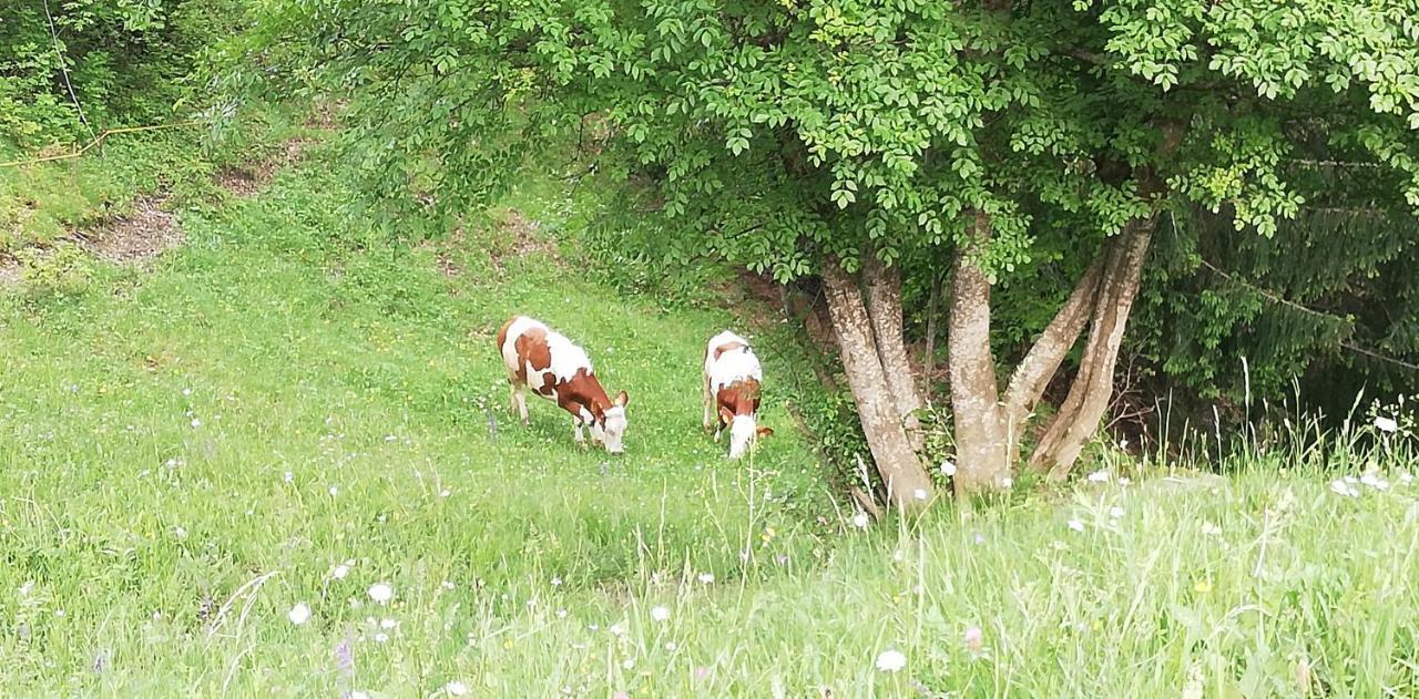 Agriturismo Ferienhof Gschloier (Adults Only) Laion Dış mekan fotoğraf