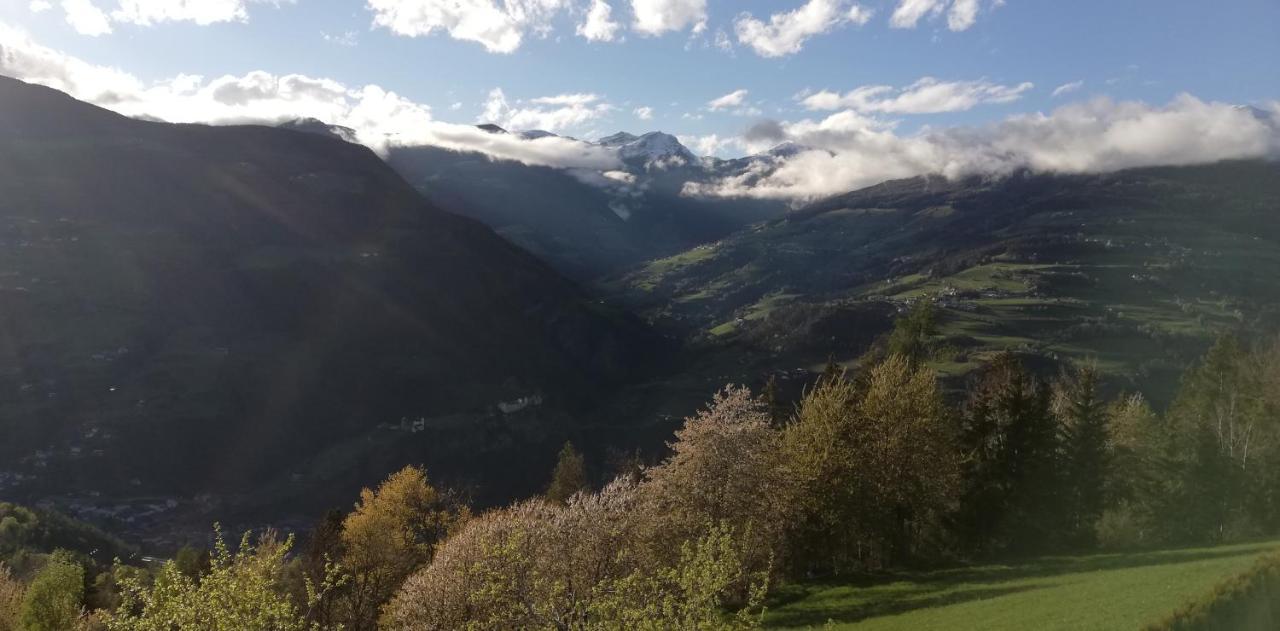 Agriturismo Ferienhof Gschloier (Adults Only) Laion Dış mekan fotoğraf