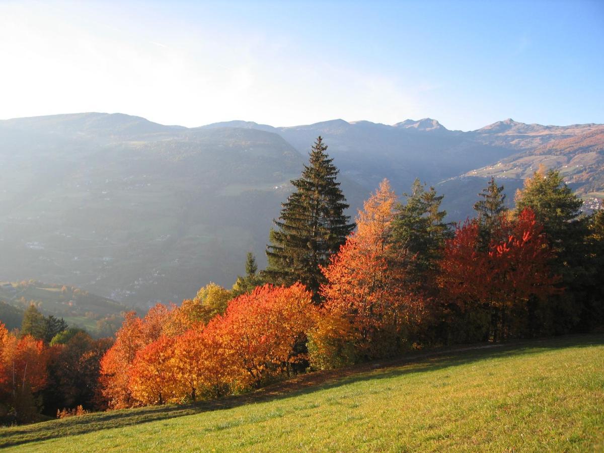 Agriturismo Ferienhof Gschloier (Adults Only) Laion Dış mekan fotoğraf