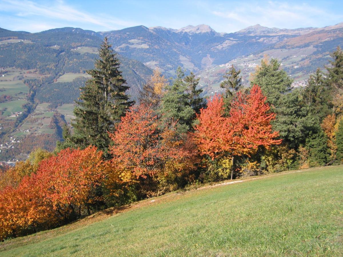Agriturismo Ferienhof Gschloier (Adults Only) Laion Dış mekan fotoğraf